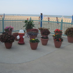 Containers at the Cedar Point beach